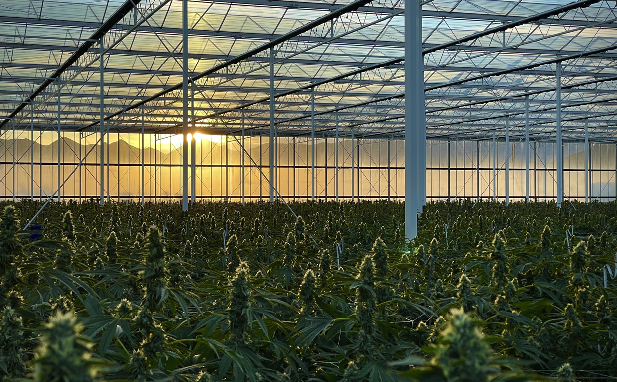 Environmental Glass House Brands